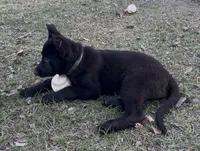 processed/ff076da4-2b71-4024-b1c0-c6a42f0acc49/listing/33a49a55-36cf-43a0-b8b2-a4e20d70d9af/be6e7673-f27e-4f9b-b66b-c5cc5321b8f8