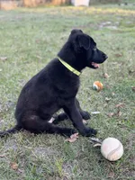 processed/ff076da4-2b71-4024-b1c0-c6a42f0acc49/listing/986170c5-22a3-44ae-bb22-b620ab7df9cd/0902343a-59fc-46fe-b3b1-455d63841080