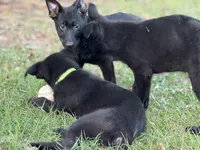 processed/ff076da4-2b71-4024-b1c0-c6a42f0acc49/listing/986170c5-22a3-44ae-bb22-b620ab7df9cd/1bc5301d-1635-46b2-b2fa-d36ce624cdc4