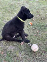 processed/ff076da4-2b71-4024-b1c0-c6a42f0acc49/listing/986170c5-22a3-44ae-bb22-b620ab7df9cd/66d669b4-4a49-4103-8fee-fb133508b85c