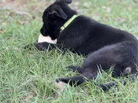 processed/ff076da4-2b71-4024-b1c0-c6a42f0acc49/listing/986170c5-22a3-44ae-bb22-b620ab7df9cd/745381b9-73b2-4535-a5eb-074704c286e1