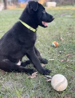 processed/ff076da4-2b71-4024-b1c0-c6a42f0acc49/listing/986170c5-22a3-44ae-bb22-b620ab7df9cd/7bc32520-3fab-44f1-9d8b-aca7cff1d1ee