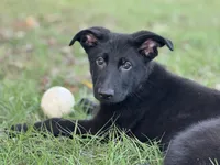 processed/ff076da4-2b71-4024-b1c0-c6a42f0acc49/listing/986170c5-22a3-44ae-bb22-b620ab7df9cd/876eb5cb-1249-4398-a863-559ff2e1efa0