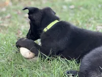 processed/ff076da4-2b71-4024-b1c0-c6a42f0acc49/listing/986170c5-22a3-44ae-bb22-b620ab7df9cd/d2651d61-dfb9-4278-97c8-d26b83c1dff1