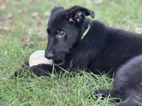 processed/ff076da4-2b71-4024-b1c0-c6a42f0acc49/listing/986170c5-22a3-44ae-bb22-b620ab7df9cd/f5db73ff-2c87-4683-9998-534a99bc3507