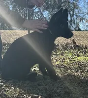 processed/ff076da4-2b71-4024-b1c0-c6a42f0acc49/listing/fe4bf985-860c-42ba-8562-bdd86624d5ab/25bcfb02-5a0c-4201-b523-3203abadf9a7