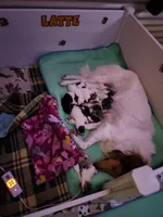 processed/ff135528-794d-48da-a9e8-3b4df9648982/facility/0951f667-5362-45ab-8e8f-c291dd44cd1a