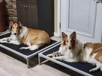 processed/ff135528-794d-48da-a9e8-3b4df9648982/facility/403b223c-f1ba-4fde-a1ed-41efbf7e7f67