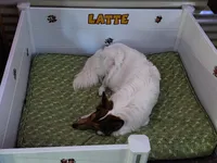 processed/ff135528-794d-48da-a9e8-3b4df9648982/facility/406fc167-1af1-4968-9876-4a023593b280