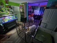 processed/ff135528-794d-48da-a9e8-3b4df9648982/facility/a585248a-61b7-419c-a4a0-ab98ce4edc9c