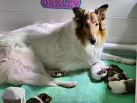 processed/ff135528-794d-48da-a9e8-3b4df9648982/facility/b421f3ba-6151-4140-b2f1-eae72b6971d7