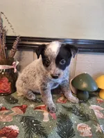 processed/ff19f6db-87ac-4b0a-9447-8b1493f238a2/listing/104fe837-d76b-4582-9ef7-df0dc15db979/16b734d2-0f1a-4da9-86a1-58d6c08fead1