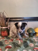 processed/ff19f6db-87ac-4b0a-9447-8b1493f238a2/listing/104fe837-d76b-4582-9ef7-df0dc15db979/5e93e16e-b8ff-4997-8e1a-cb736845584f