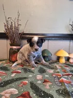 processed/ff19f6db-87ac-4b0a-9447-8b1493f238a2/listing/104fe837-d76b-4582-9ef7-df0dc15db979/9fcd5a3a-a39e-4d46-8f11-92da2c5f8f6d