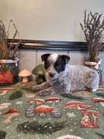 processed/ff19f6db-87ac-4b0a-9447-8b1493f238a2/listing/104fe837-d76b-4582-9ef7-df0dc15db979/bf19ddf4-4760-4c78-a505-edc7c628386f