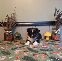 processed/ff19f6db-87ac-4b0a-9447-8b1493f238a2/listing/16814d5c-b897-4cac-90c4-6767ccad59af/4005287f-db5d-4c80-b3ec-0bc59f3a5d71