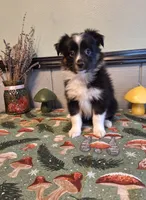 processed/ff19f6db-87ac-4b0a-9447-8b1493f238a2/listing/16814d5c-b897-4cac-90c4-6767ccad59af/5450be88-d079-45e6-ad53-f6cf52238a10