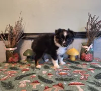 processed/ff19f6db-87ac-4b0a-9447-8b1493f238a2/listing/16814d5c-b897-4cac-90c4-6767ccad59af/a97a4775-e274-4ba9-b956-01dd22b48a22