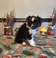 processed/ff19f6db-87ac-4b0a-9447-8b1493f238a2/listing/16814d5c-b897-4cac-90c4-6767ccad59af/c0a7ca7a-0407-40da-86a1-a1aa198012e4