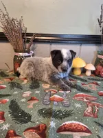 processed/ff19f6db-87ac-4b0a-9447-8b1493f238a2/listing/618c7855-d187-49a3-a91b-d25fd357e2b1/06452cf0-9fc7-4ede-a723-7f0472427ade