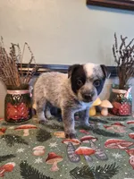 processed/ff19f6db-87ac-4b0a-9447-8b1493f238a2/listing/618c7855-d187-49a3-a91b-d25fd357e2b1/1f0f4200-aa0f-4a0c-ac16-696bbb15d751