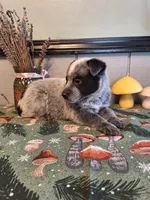 processed/ff19f6db-87ac-4b0a-9447-8b1493f238a2/listing/618c7855-d187-49a3-a91b-d25fd357e2b1/3f2b6ea0-98ba-455b-bdc7-2379e1e02690