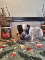 processed/ff19f6db-87ac-4b0a-9447-8b1493f238a2/listing/618c7855-d187-49a3-a91b-d25fd357e2b1/7c5babe3-4612-4ccf-bb63-cf8be3f1c0fe