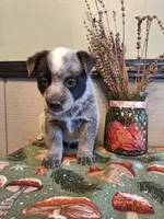 processed/ff19f6db-87ac-4b0a-9447-8b1493f238a2/listing/618c7855-d187-49a3-a91b-d25fd357e2b1/a04f9761-7bb2-4b9d-a09f-537be15470ac