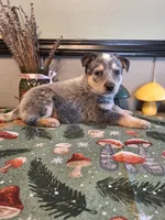 processed/ff19f6db-87ac-4b0a-9447-8b1493f238a2/listing/ccefa6f2-8f23-40b0-9944-f154afd898e6/0233990c-558d-487f-843f-01a83cef628f