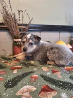 processed/ff19f6db-87ac-4b0a-9447-8b1493f238a2/listing/ccefa6f2-8f23-40b0-9944-f154afd898e6/6ac77e97-16ee-4a0c-83b1-0699d7a13dce