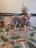 processed/ff19f6db-87ac-4b0a-9447-8b1493f238a2/listing/ccefa6f2-8f23-40b0-9944-f154afd898e6/7a257219-83c3-4c58-ab7e-a41235fac975