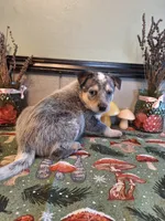 processed/ff19f6db-87ac-4b0a-9447-8b1493f238a2/listing/ccefa6f2-8f23-40b0-9944-f154afd898e6/88078e1d-3e3f-411a-b03d-b6a9c177fd13