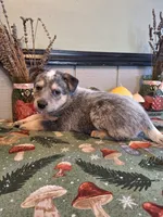 processed/ff19f6db-87ac-4b0a-9447-8b1493f238a2/listing/ccefa6f2-8f23-40b0-9944-f154afd898e6/a4fbe0ca-a701-4f9e-9d92-19850bedceff