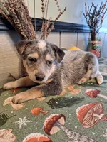 processed/ff19f6db-87ac-4b0a-9447-8b1493f238a2/listing/ccefa6f2-8f23-40b0-9944-f154afd898e6/eaff10ab-09ab-40f2-bec9-fb5ff586b17a