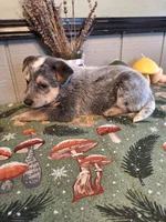 processed/ff19f6db-87ac-4b0a-9447-8b1493f238a2/listing/ccefa6f2-8f23-40b0-9944-f154afd898e6/eebc9904-987c-431c-805d-578bd84dc7c7