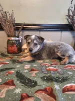 processed/ff19f6db-87ac-4b0a-9447-8b1493f238a2/listing/ccefa6f2-8f23-40b0-9944-f154afd898e6/f54cc415-96d4-45f3-a1c5-43a65361e1c6