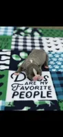 Lane-AKC, a male Boston Terrier for sale in Konawa, OK – 1 of 6