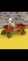 Oliver-AKC, a male Boston Terrier for sale in Konawa, OK – 5 of 7