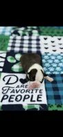 Tyson-AKC, a male Boston Terrier for sale in Konawa, OK – 5 of 7