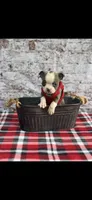 Jesse-AKC, a male Boston Terrier for sale in Konawa, OK – 4 of 6