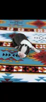 Wade-AKC, a male Boston Terrier for sale in Konawa, OK – Photo 7 of 7