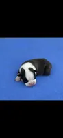 Tyson-AKC, a male Boston Terrier for sale in Konawa, OK – 4 of 7