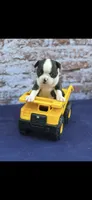 Tyson-AKC, a male Boston Terrier for sale in Konawa, OK – 10 of 10