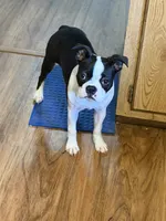 processed/ff230d47-3bb3-4aa8-8571-5837ef1d5151/listing/f8bb7a27-8fcb-40f2-b863-d36b31acc49e/66f395ba-9a35-4229-becf-f3751c259f50