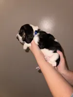 processed/ff23cd25-303b-464d-963f-16654228b440/listing/046480b4-b126-4381-aa73-869fac03711b/55d68213-d4f3-4b04-a25f-e70066ed77a9