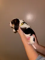 processed/ff23cd25-303b-464d-963f-16654228b440/listing/2e82a5d7-52d4-4e93-9c55-9e26248a59bf/6fcf5f82-ee9f-4cd9-825a-f71b7c781b45