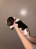 processed/ff23cd25-303b-464d-963f-16654228b440/listing/33bf6e12-4799-4fb0-a9e2-f4bf04db4069/b847c874-37e9-40e7-8524-467f02f464fa