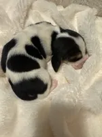 processed/ff2b3504-296e-4538-b781-313446bfa8dd/listing/36947838-ced3-4c8e-8ac0-c45368bc10ac/023db8f3-9cd2-47f3-99b3-8cf4f701acf0