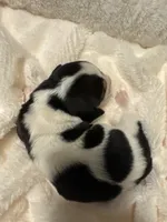 processed/ff2b3504-296e-4538-b781-313446bfa8dd/listing/36947838-ced3-4c8e-8ac0-c45368bc10ac/2bffce42-3909-47a6-9a21-fade861de3e5