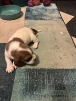 processed/ff2b3504-296e-4538-b781-313446bfa8dd/listing/4323f021-5a3c-4fc1-a9a3-50b1deee3aef/13d0d8ee-4b6e-495a-a11c-323f8ffcb50d